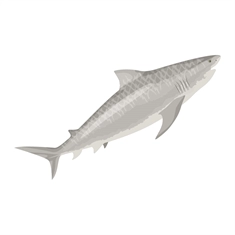 Under the Sea Theme Tiger Shark Transparent Sticker